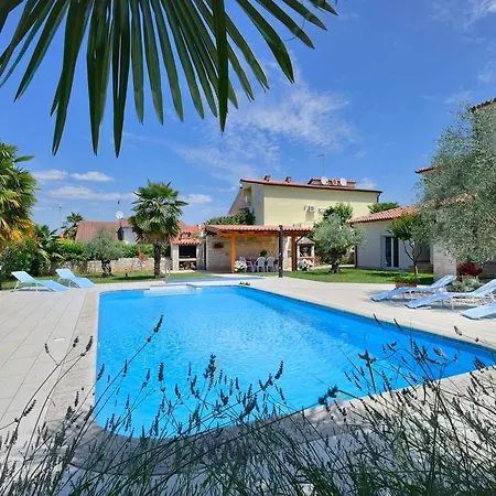 Fantastic In With Swimming Pool Apartment *