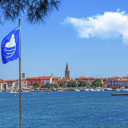 Fantastic In With Swimming Pool Poreč