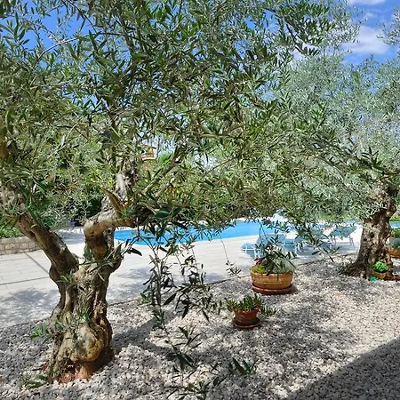 Fantastic In With Swimming Pool Daire Poreč